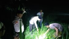 Caption: Saat kepolisian Polsek Ketapang bersama warga saat mendatangi TKP penemuan bayi laki-laki menangis di area persawahan di Desa Ketapang Barat (Sumber Foto: Humas Polres Sampang/Pilar Pos)