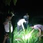 Caption: Saat kepolisian Polsek Ketapang bersama warga saat mendatangi TKP penemuan bayi laki-laki menangis di area persawahan di Desa Ketapang Barat (Sumber Foto: Humas Polres Sampang/Pilar Pos)