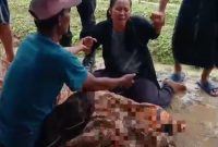 Caption: Keluarga histeris saat mendatangi korban yang tersambar petir di lahan pertanian di Desa Jeruk Porot (Sumber Foto: Screenshot video/Pilar Pos)