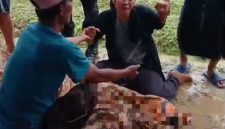 Caption: Keluarga histeris saat mendatangi korban yang tersambar petir di lahan pertanian di Desa Jeruk Porot (Sumber Foto: Screenshot video/Pilar Pos)