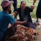 Caption: Keluarga histeris saat mendatangi korban yang tersambar petir di lahan pertanian di Desa Jeruk Porot (Sumber Foto: Screenshot video/Pilar Pos)