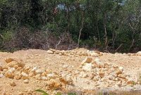 Caption: Salah-satu kondisi urukan sirtu di pesisir Kecamatan Camplong tepatnya di Taddan (Sumber Foto: Rosi Camplong PJS/dok Pilar Pos)