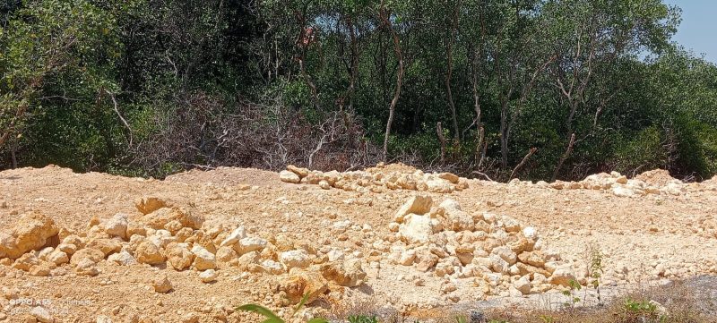 Caption: Salah-satu kondisi urukan sirtu di pesisir Kecamatan Camplong tepatnya di Taddan (Sumber Foto: Rosi Camplong PJS/dok Pilar Pos)