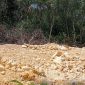 Caption: Salah-satu kondisi urukan sirtu di pesisir Kecamatan Camplong tepatnya di Taddan (Sumber Foto: Rosi Camplong PJS/dok Pilar Pos)