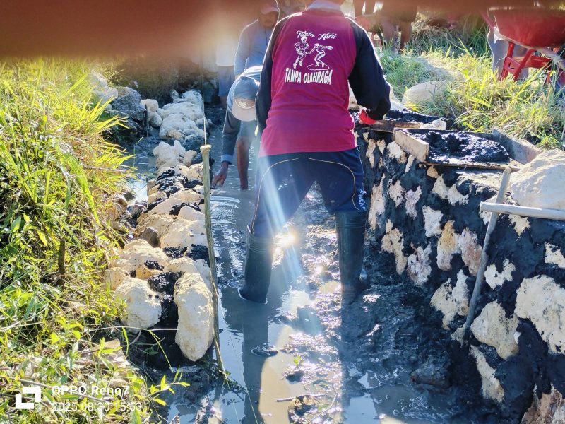 Caption: Kondisi Proyek P3-TGAI di Desa Madupat Hippa Madupat Bersatu (Sumber Foto: Agus Junaidi/Pilar Pos)