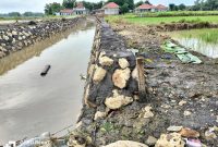 Caption: Kondisi Proyek Pemeliharaan Saluran Sekunder di Desa Pangelen Sampang yang Dikerjakan Oleh CV Birza Utama (Sumber Foto: Agus Junaidi/Pilar Pos)
