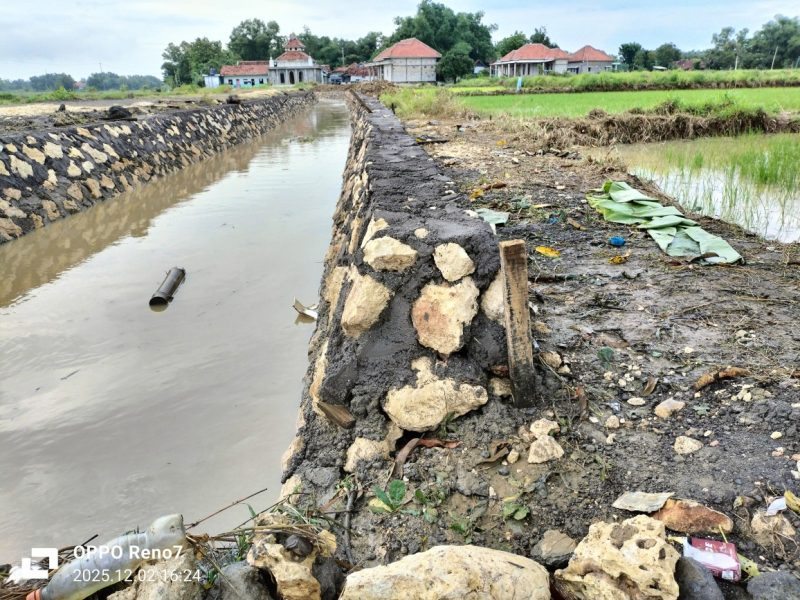 Caption: Kondisi Proyek Pemeliharaan Saluran Sekunder di Desa Pangelen Sampang yang Dikerjakan Oleh CV Birza Utama (Sumber Foto: Agus Junaidi/Pilar Pos)