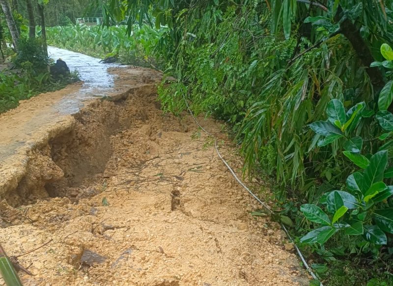 Caption: Kondisi Jalan Yang Ambruk Akibat Longsor dan Hujan Deras di Dusun Dibajak, Desa Karangpenang Onjur, Kecamatan Karangpenang (Sumber Foto: Milik Warga/dok Pilar Pos)
