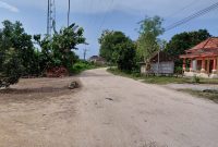 Caption: Jalan Kabupaten Sampang di Desa Trapang, Kecamatan Banyuates Yang Kondisinya Rusak (Sumber Foto: PJS/Pilar Pos)