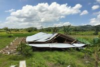 Caption: Kondisi Kandang Perternakan Ayam Petelur dari Program Ketahanan Pangan di Desa Kotah yang Ambruk Akibat Musibah Angin Kencang (Sumber Foto: Agus Junaidi/Pilar Pos)