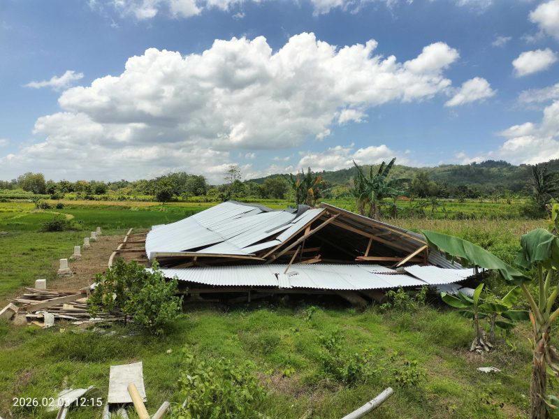 Caption: Kondisi Kandang Perternakan Ayam Petelur dari Program Ketahanan Pangan di Desa Kotah yang Ambruk Akibat Musibah Angin Kencang (Sumber Foto: Agus Junaidi/Pilar Pos)