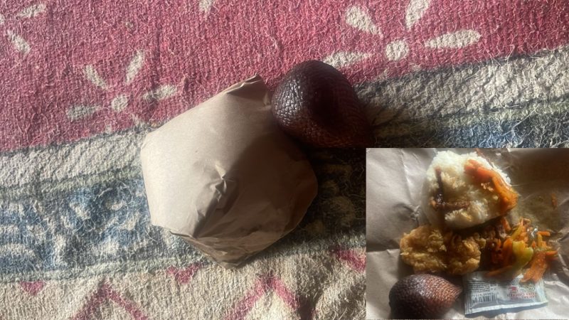 Caption: Pendistribusian MBG dari SPPG Sampang Tambelangan Banjarbillah Melalui Kader Posyandu Kepada PM Ibu Menyusui (Sumber Foto: Agus Junaidi/Pilar Pos)