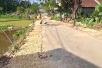 Caption: Situasi Warga di Daerah Kecamatan Tambelangan Saat Melakukan Perbaikan dan Pelebaran di Ruas Jalan Kabupaten Sampang Tambelangan-Bungkak (Sumber Foto: Screenshot Video Milik Warga/dok Pilar Pos