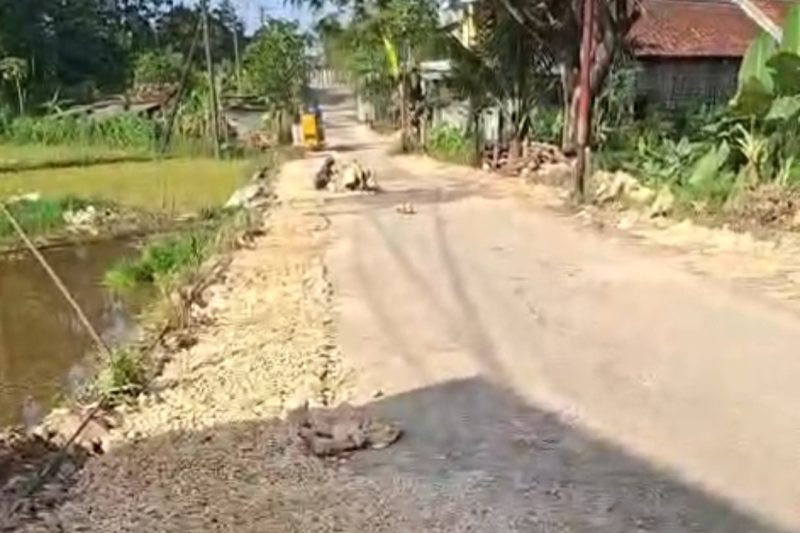 Caption: Situasi Warga di Daerah Kecamatan Tambelangan Saat Melakukan Perbaikan dan Pelebaran di Ruas Jalan Kabupaten Sampang Tambelangan-Bungkak (Sumber Foto: Screenshot Video Milik Warga/dok Pilar Pos
