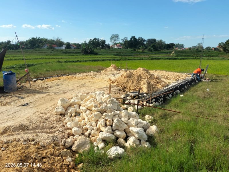 Caption: Sebuah Kandang BUMDes Maju Bersatu, Program Ketapang Penggemukan Sapi di Desa Krampon TA 2025 Yang Baru Dibangun Tahun 2026 (Sumber Foto: Agus Junaidi/Pilar Pos)
