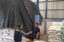 Caption: Satgas Polres Sampang Saat Melakukan Pengecekan Stok Beras di Gudang Bulog Sampang (Sumber Foto: Agus Junaidi/Pilar Pos)