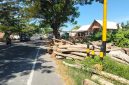 Caption: Tumpukan Kayu Memakan Bahu Jalan Raya Nasional, Ruas Jalan Sampang - Bangkalan - Kamal Tepatnya di Wilayah Kecamatan Torjun, Kabupaten Sampang (Sumber Foto: Agus Junaidi/Pilar Pos)