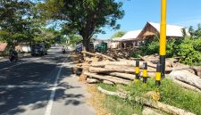 Caption: Tumpukan Kayu Memakan Bahu Jalan Raya Nasional, Ruas Jalan Sampang - Bangkalan - Kamal Tepatnya di Wilayah Kecamatan Torjun, Kabupaten Sampang (Sumber Foto: Agus Junaidi/Pilar Pos)