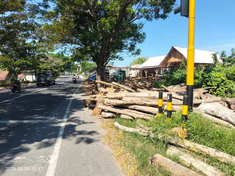 Caption: Tumpukan Kayu Memakan Bahu Jalan Raya Nasional, Ruas Jalan Sampang - Bangkalan - Kamal Tepatnya di Wilayah Kecamatan Torjun, Kabupaten Sampang (Sumber Foto: Agus Junaidi/Pilar Pos)