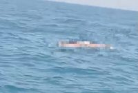Caption: Screenshot Video Seorang Nelayan Ditemukan Meninggal Mengapung di Perairan Paniniran, Desa Tamberu Barat, Kecamatan Sokobanah, Kabupaten Sampang (Sumber Foto: Screenshot Video Viral/dok Pilar Pos)