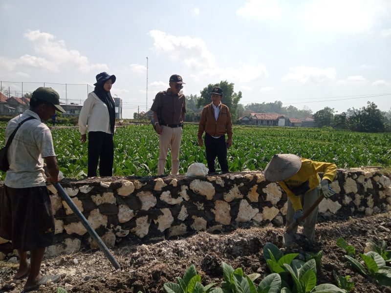 Caption: Tim KMB BBWS Brantas Jatim Saat Turun ke P3A Bumi Rejeki Desa Pangongsean, Kecamatan Torjun, Kabupaten Sampang (Sumber Foto: Tenaga Ahli BBWS Brantas, Roif Fitrianto For Pilar Pos)