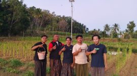 Lutfi Rizal, Sekertaris Madas Nusantara Kec. Pagantenan saat mendampingi Mahasiswa KKN UIN Madura Bangun Penerangan Jalan Poros Desa Plakpak