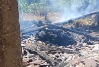 Caption: Salah satu sapi yang ikut terbakar di peristiwa kebakaran di Desa Paleh Laok (Sumber Foto: Screenshot Video dari Carek Desa Paleh Laok For Pilar Pos)