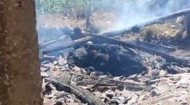 Caption: Salah satu sapi yang ikut terbakar di peristiwa kebakaran di Desa Paleh Laok (Sumber Foto: Screenshot Video dari Carek Desa Paleh Laok For Pilar Pos)