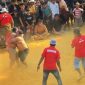 Warga saat adu gulat Okol, melestarikan tradisi budaya untuk meminta diturunkan hujan. Jumat, 02/10/2026.